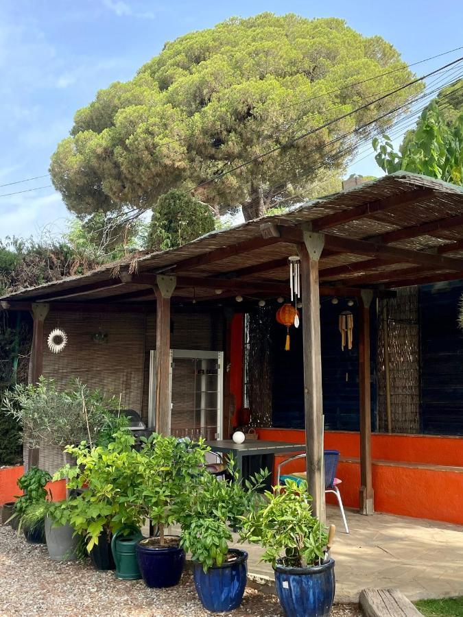 Palm Maresme - Suite With Bathroom And Terrasse With Ocean Views In A Private Villa Vilassar De Dalt Exterior photo